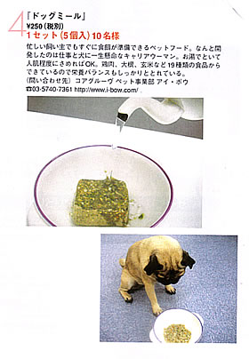 Lechien記事
