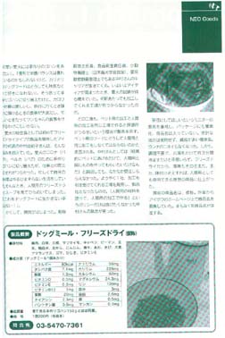 neo記事2